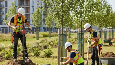 Tree planting service in Overland Park, KS by local arborists preparing and placing a young tree