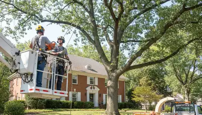 Tree service crew removing a tree in Overland Park, KS