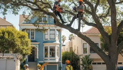 Tree removal crew in Overland Park, KS providing professional tree service