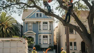 Tree service crew removing a tree in Overland Park, KS