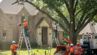 Tree service crew in Overland Park, KS removing a tree for a residential property