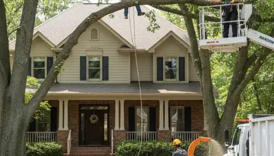 Tree service team in Overland Park, KS providing professional tree removal and care